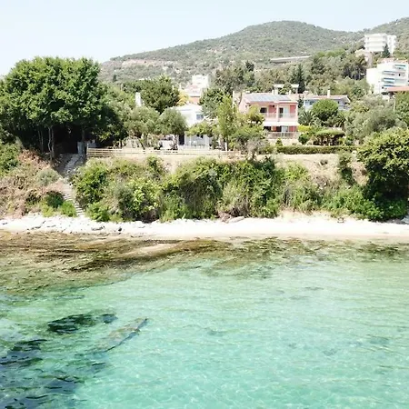 Alexander Beach Villa *