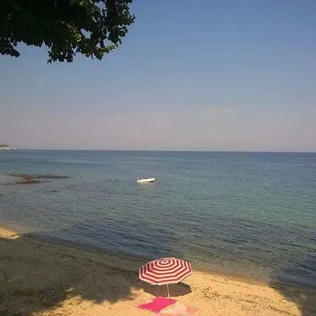 Alexander Beach Villa *