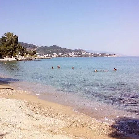 Alexander Beach Villa *